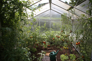 green house organic gardening at home